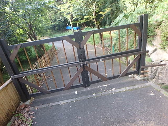 f0334143_20243114.jpg