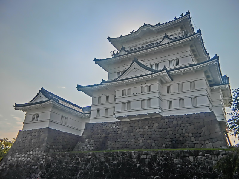 b0408745_08335006.jpeg
