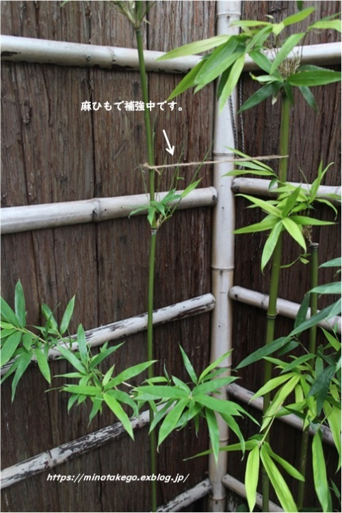 天災と暮らしの補強_e0343145_22125283.jpg