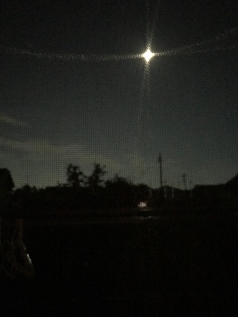 d0101846_06171005.jpeg
