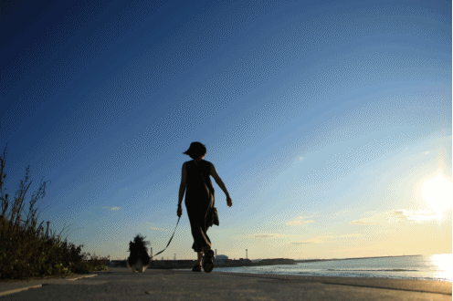 c0145250_15420358.gif