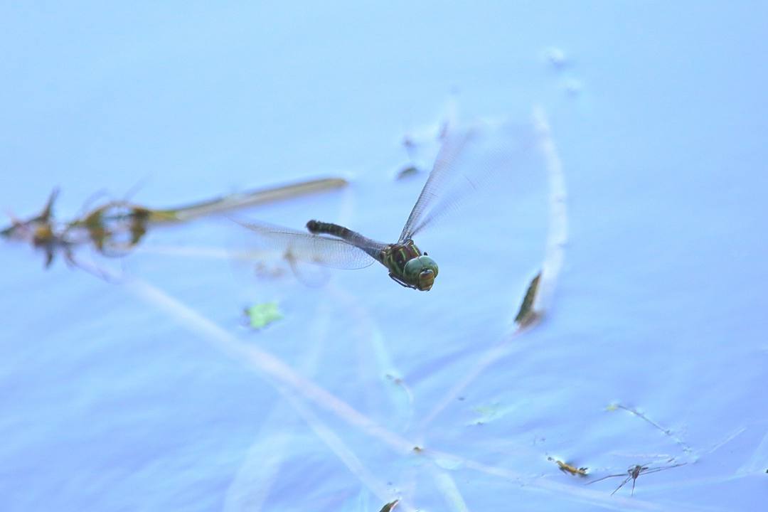 e0403850_10472149.jpg