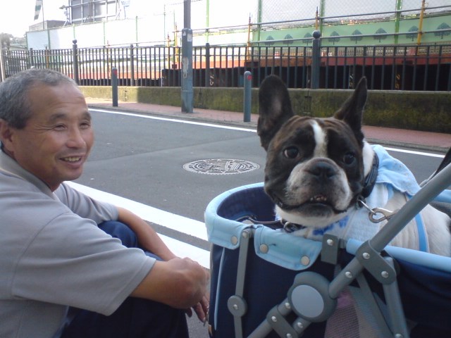 イマイチになると思い出す5年生存率_b0307951_00010210.jpg