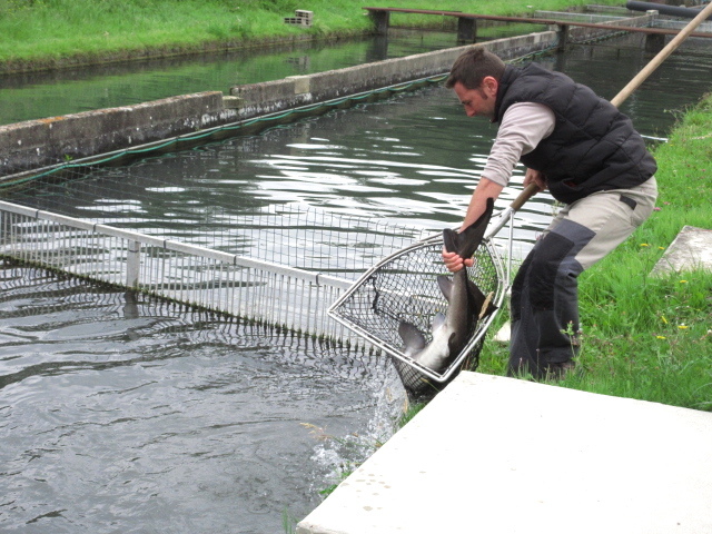 カヴィアを訪ねて ジロンド川 Vers Caviar Gironde Paris Gourmand パリのおいしい日々３