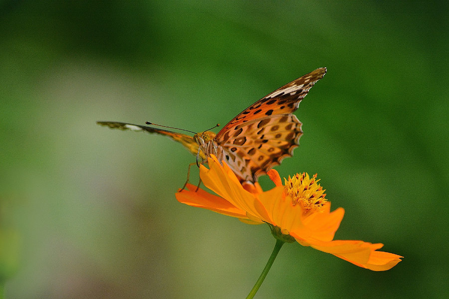 d0387460_22072514.jpg