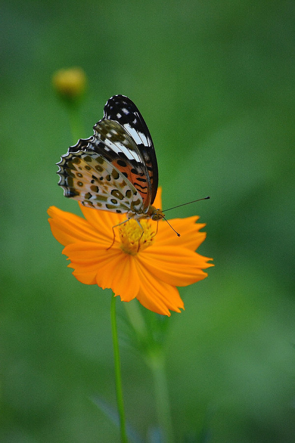 d0387460_22083343.jpg