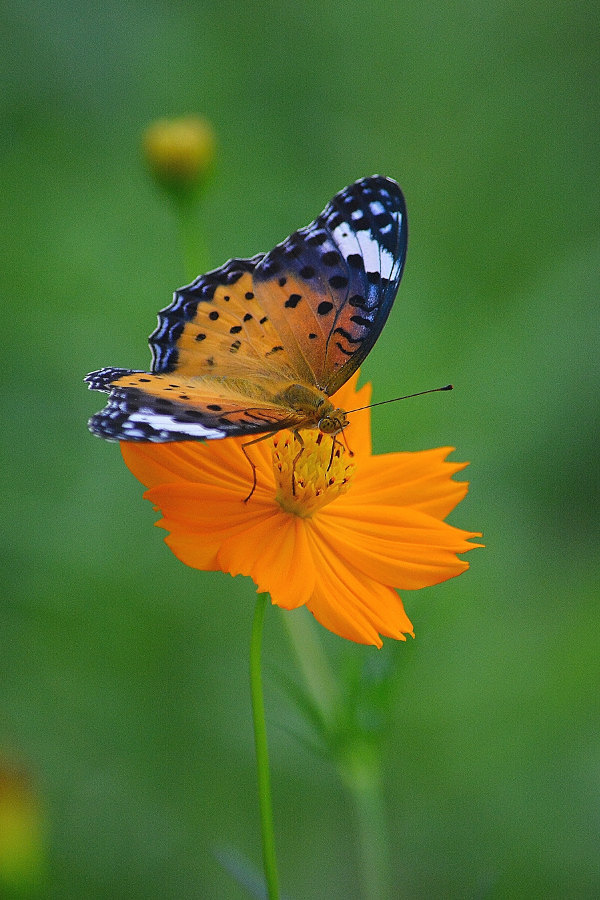 d0387460_22085166.jpg