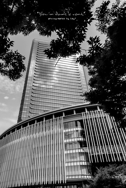 f0251765_1614334.jpg