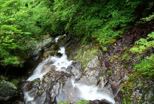 c0303868_05063154.jpg