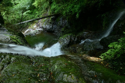 c0303868_05083014.jpg
