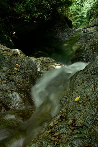 c0303868_05114089.jpg