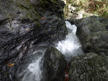 c0303868_05131433.jpg