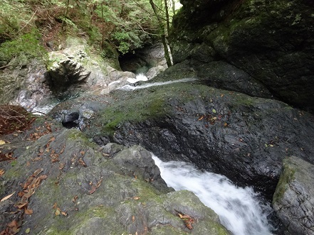 c0303868_05135256.jpg