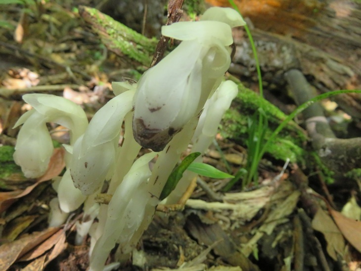 c0042869_06141759.jpg