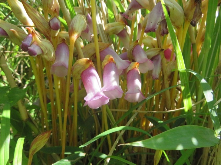 c0042869_06142965.jpg