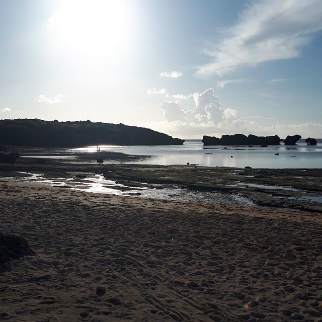 2019/9/2-7最後の八重山旅行(西表島台風・竹富島・石垣島);総決算リンク追加中_b0116271_15045598.jpg