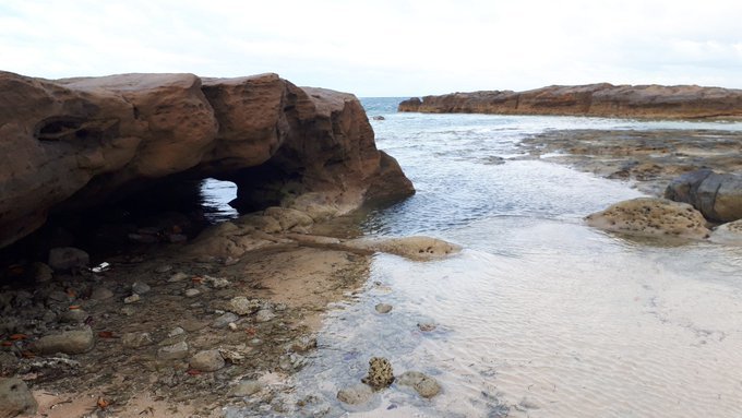 2019/9/2-7最後の八重山旅行(西表島台風・竹富島・石垣島);総決算リンク追加中_b0116271_16514408.jpg