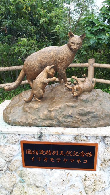 2019/9/2-7最後の八重山旅行(西表島台風・竹富島・石垣島);総決算リンク追加中_b0116271_16574448.jpg