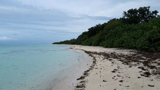 2019/9/2-7最後の八重山旅行(西表島台風・竹富島・石垣島);総決算リンク追加中_b0116271_17460753.jpg