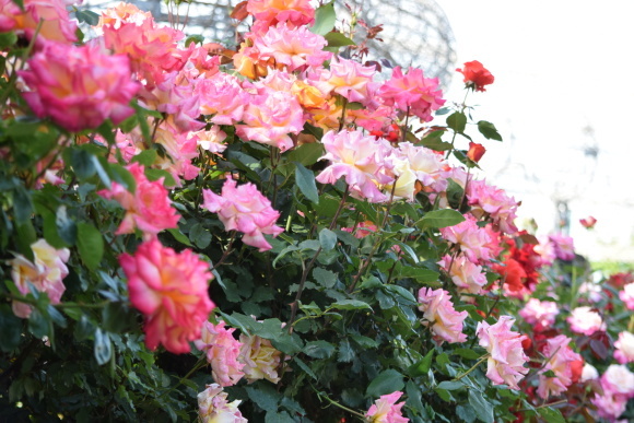 b0242873_22113900.jpg