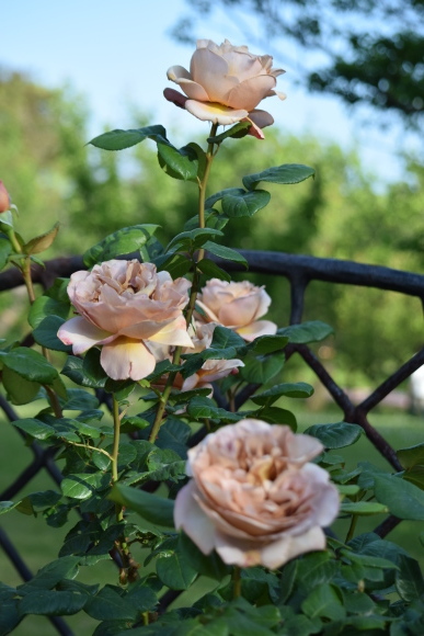 b0242873_22382949.jpg