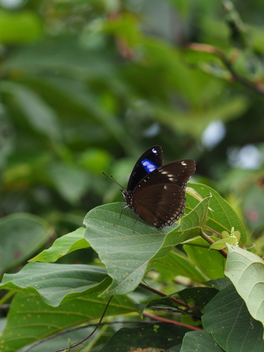 e0305074_21074572.jpg