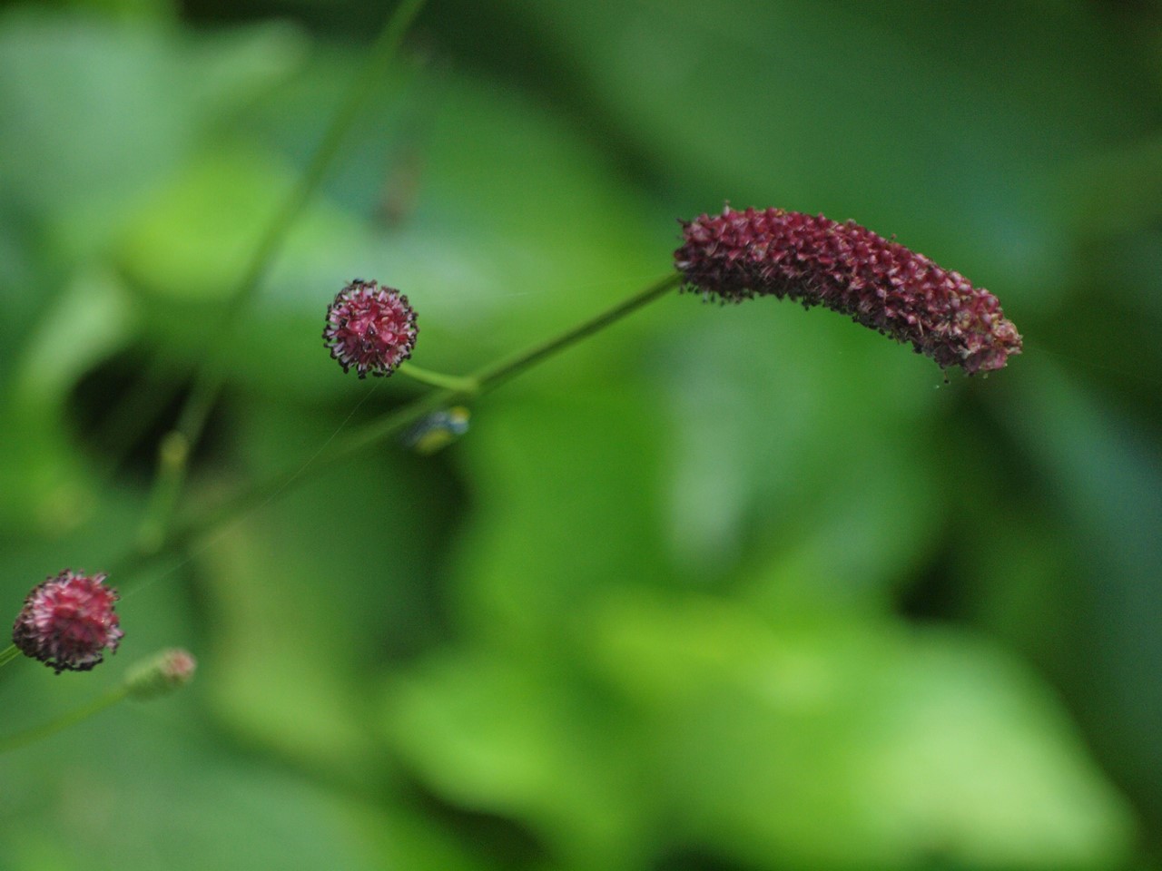 d0054276_20374799.jpg