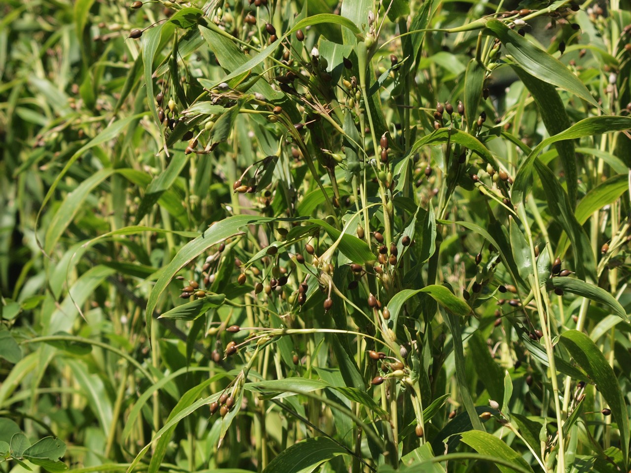d0054276_2039783.jpg
