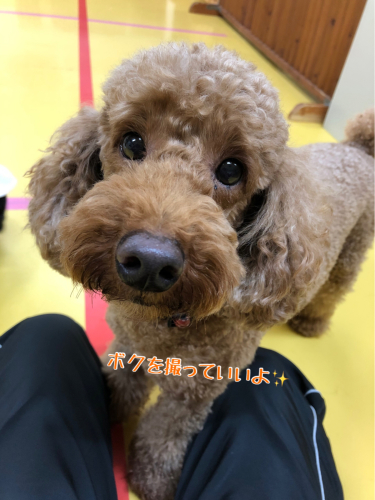 お泊まり楽しい〜♬︎_f0357682_23485066.jpg