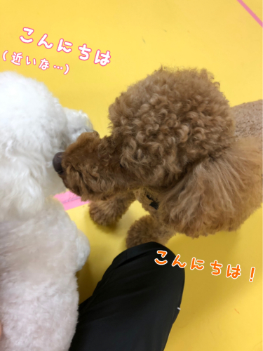 お泊まり楽しい〜♬︎_f0357682_23554197.jpg