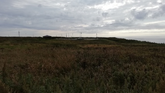 c0212083_17303039.jpg