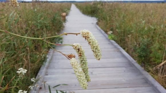 c0212083_17321331.jpg