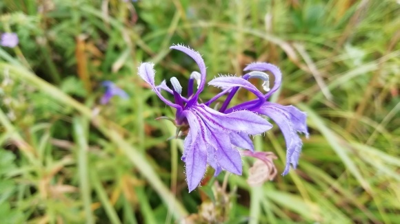 c0212083_17325217.jpg
