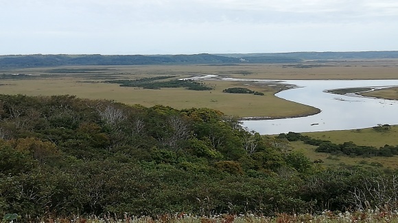c0212083_17364791.jpg