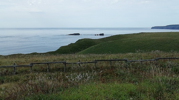 c0212083_17370820.jpg
