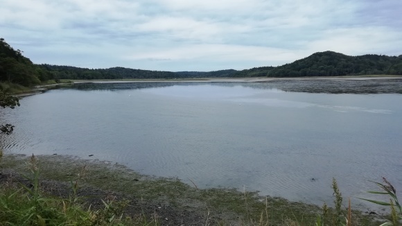 c0212083_18004455.jpg