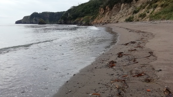 c0212083_18063948.jpg