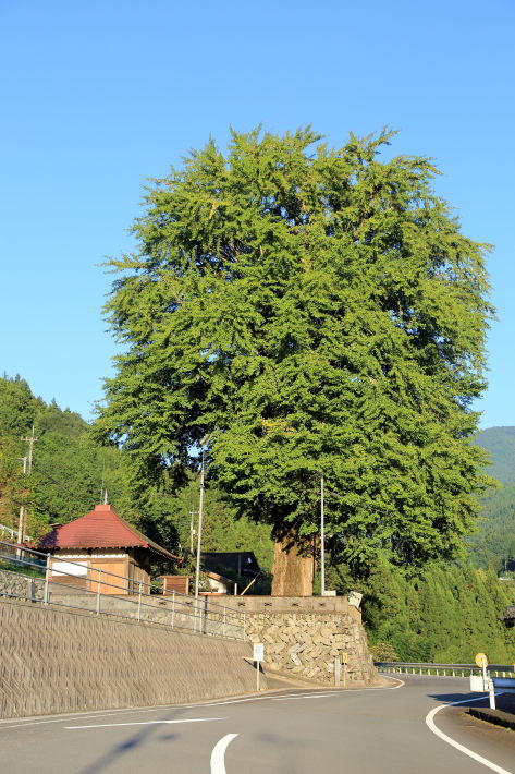 c0358784_20244240.jpg