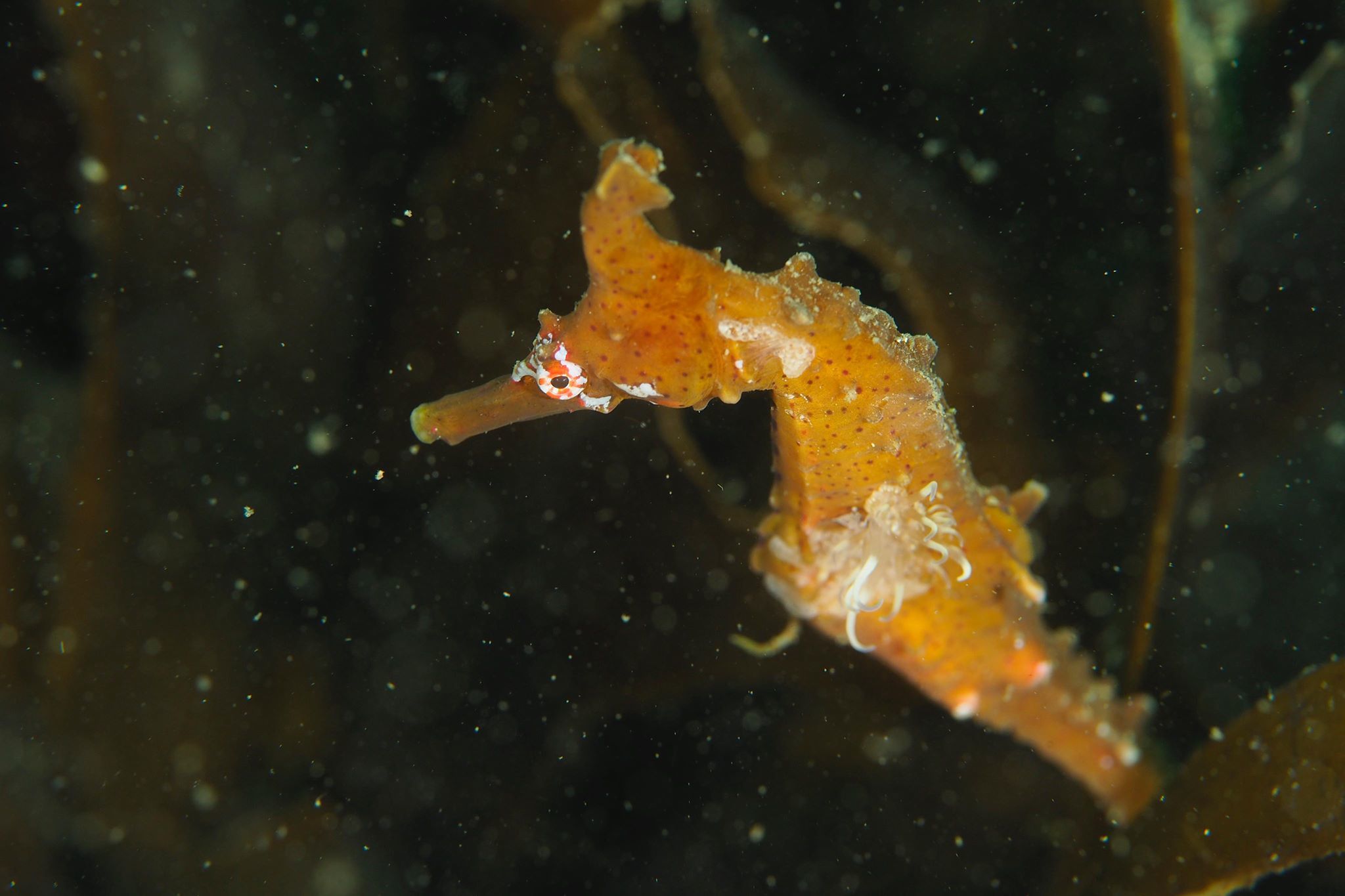 f0151886_17025137.jpg