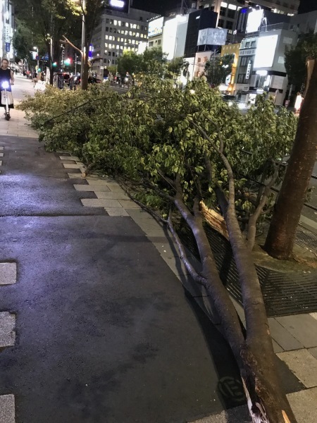 帰り道にバーラジオ青山へ_e0397389_14100587.jpeg