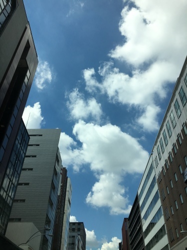 f0347891_23343921.jpeg