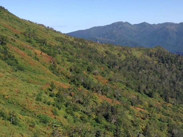 赤岳・緑岳・白雲岳へプチ縦走。_d0198793_16464326.jpg