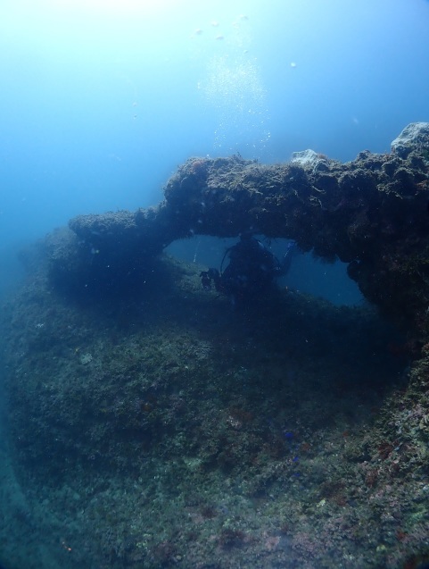 e0115199_17560607.jpg