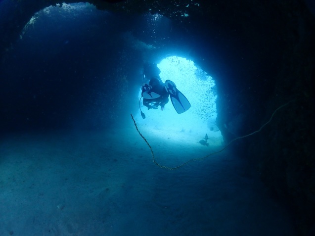 e0115199_17573916.jpg