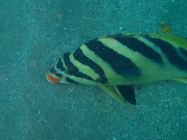 e0115199_18253630.jpg
