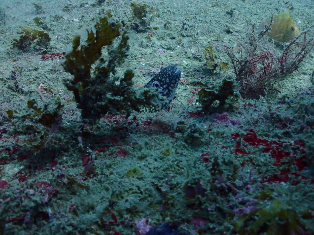 e0115199_18282805.jpg