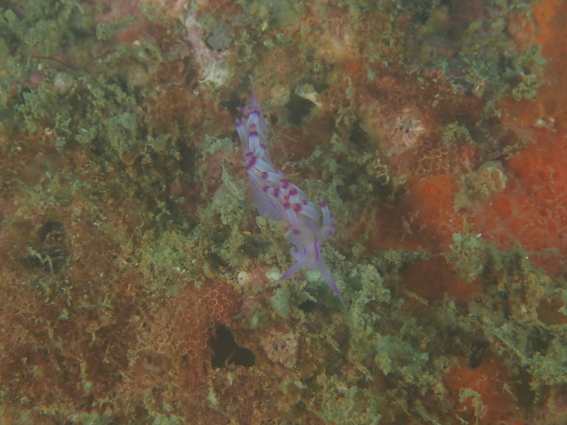e0115199_18540875.jpg