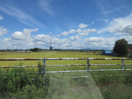 a0203003_16163032.jpg