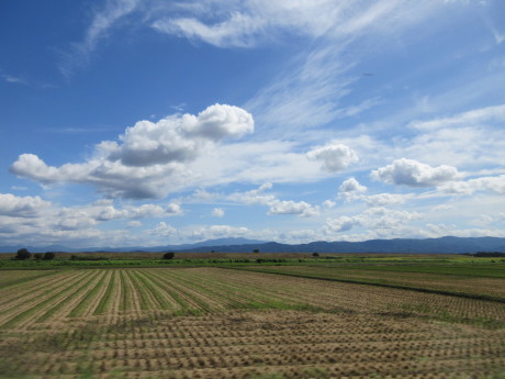 a0203003_16214111.jpg