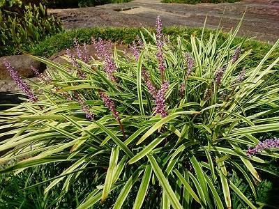 e0289203_13520728.jpg